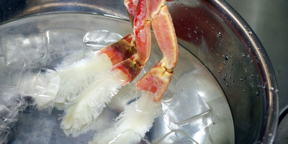 松葉ガニ/越前ガニ